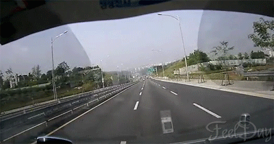 159a629a401f9559.gif