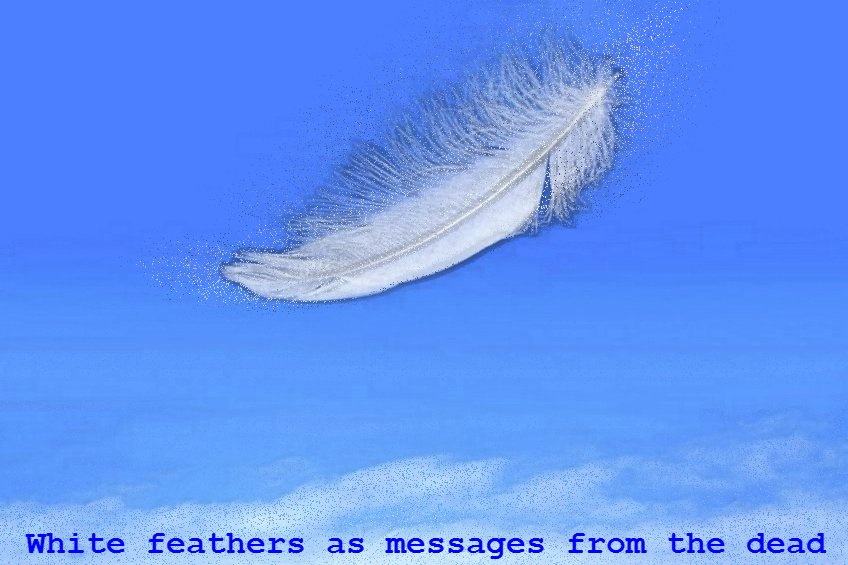 67 Not Out White Feathers As Contact With The Dead