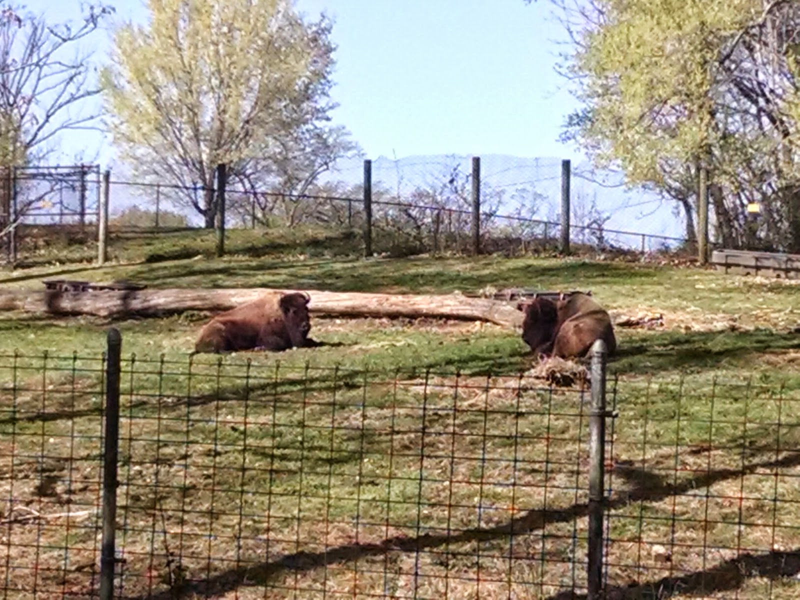 Meet Me Outdoors Richmond, VA Maymont Park