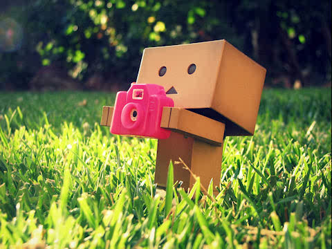 Danbo Baby on This Is Dunbo My Favourite Robot   P