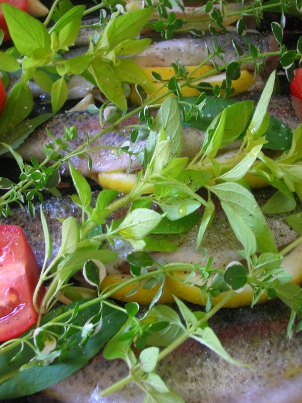 Rindy Mae Herb & Garlic Grilled Trout