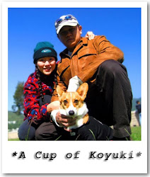 A CUP OF KOYUKI