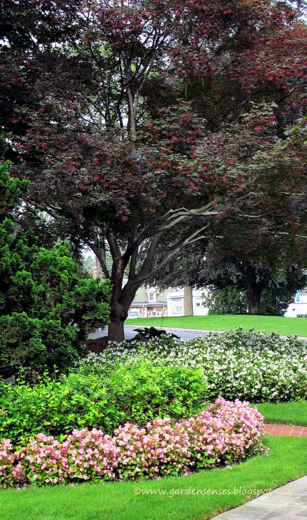 Garden Sense Mass for Maximum Impact