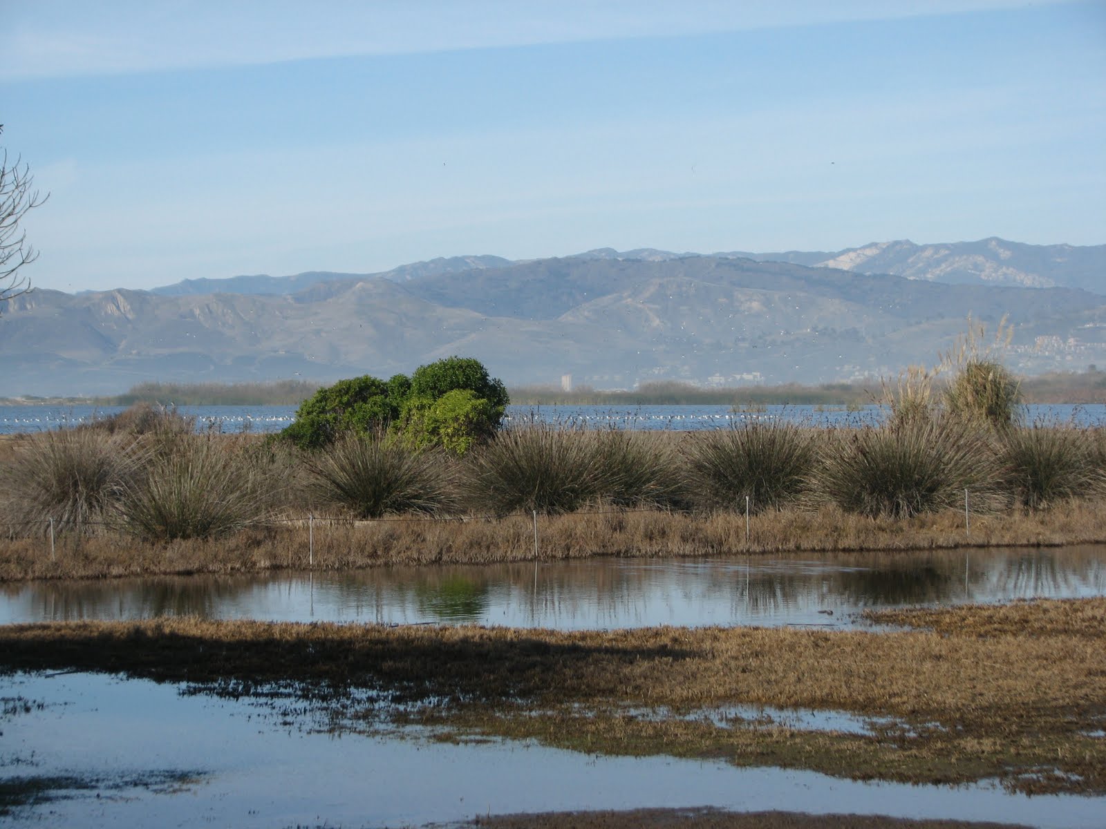 State Park Closures Trip McGRATH STATE BEACH Trip 19 of 70