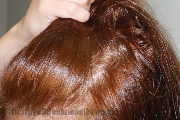 The Beauty Bin Hortaleza Professional Hair Coloring Cream Review