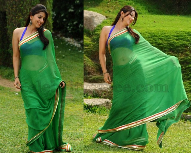 Bhumika Chawla in Green Saree