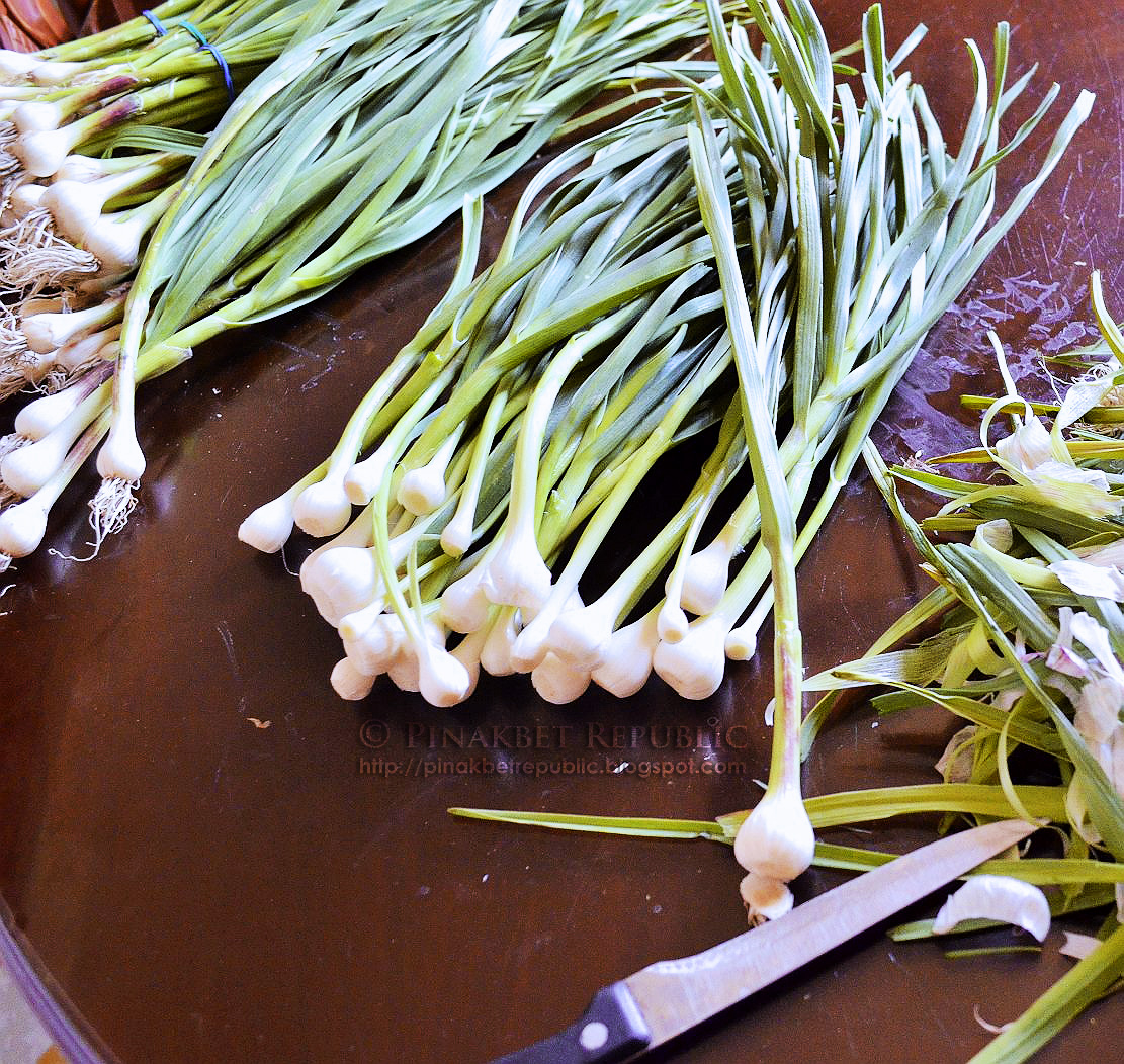 pinakbet a bawang, young garlic stew PINAKBET REPUBLIC