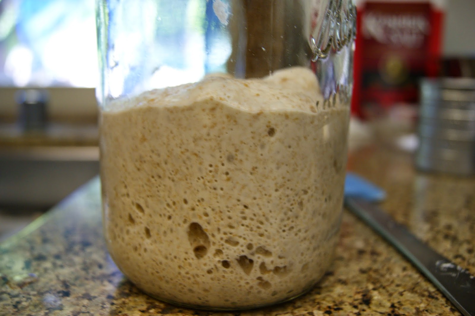 Heavy Metal Spatula Sourdough Bread Starter