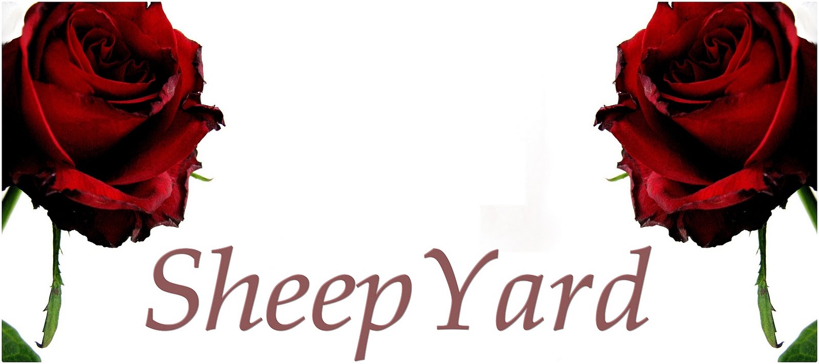 Sheep-yard
