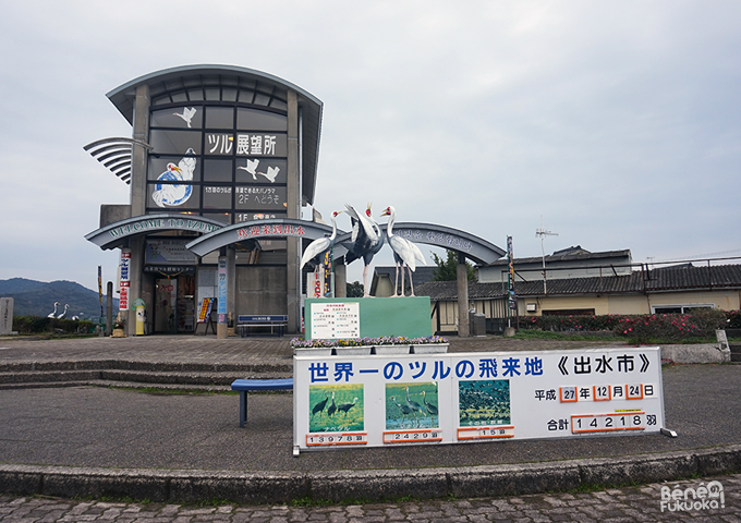 Izumi Crane Center, Izumi, Kagoshima