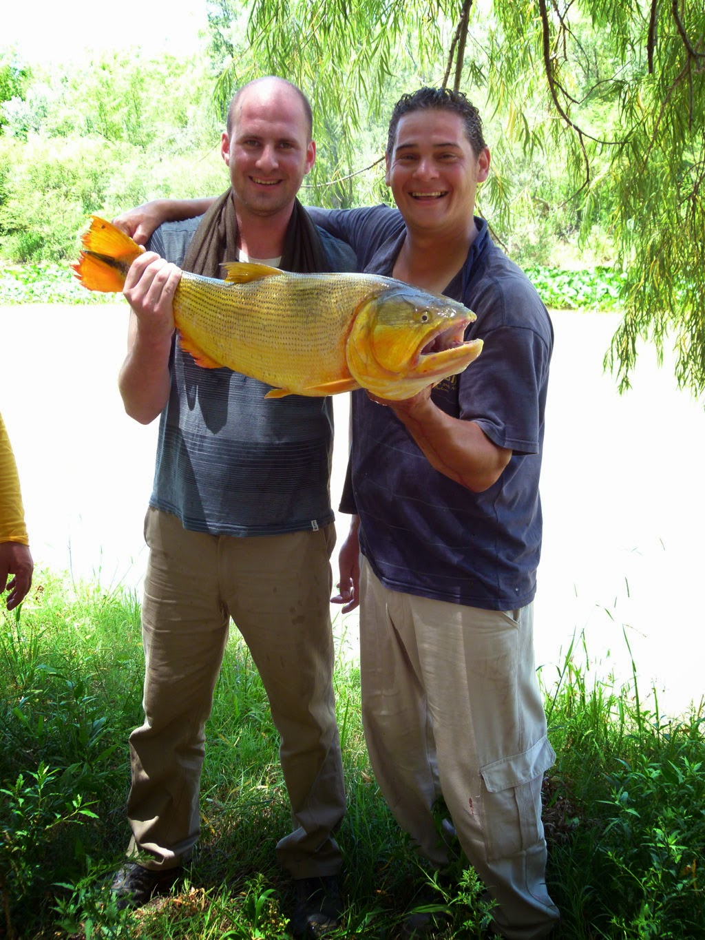 JORNADAS PESCA DE DORADOS