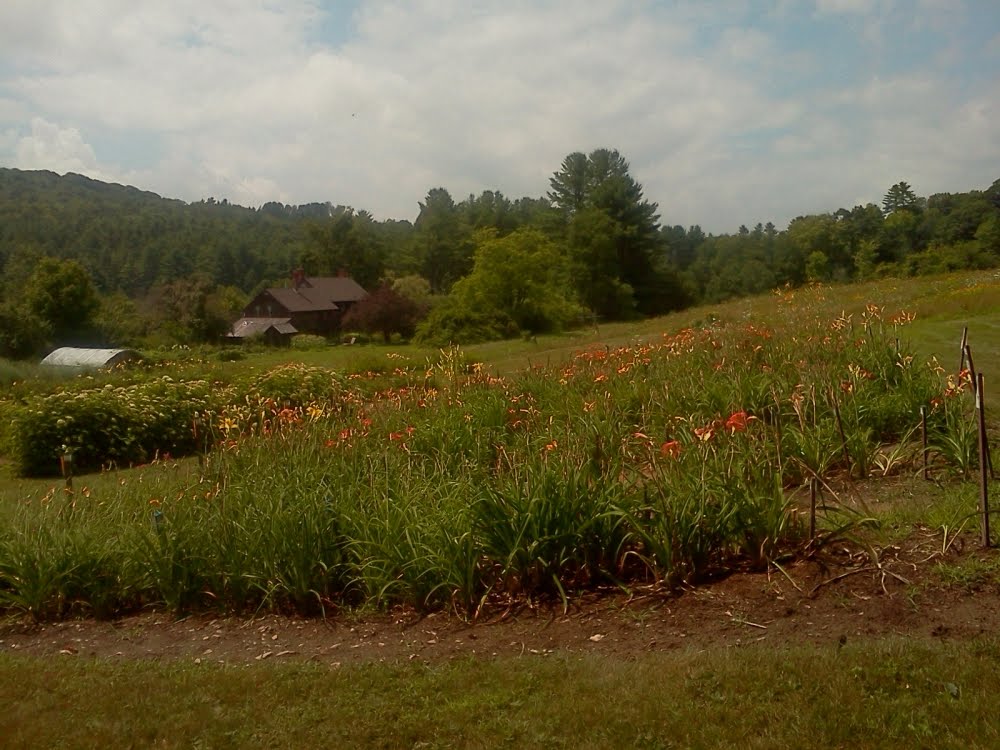 Wildenblue Farm Journal Florediem Flower Farm in Alstead, NH