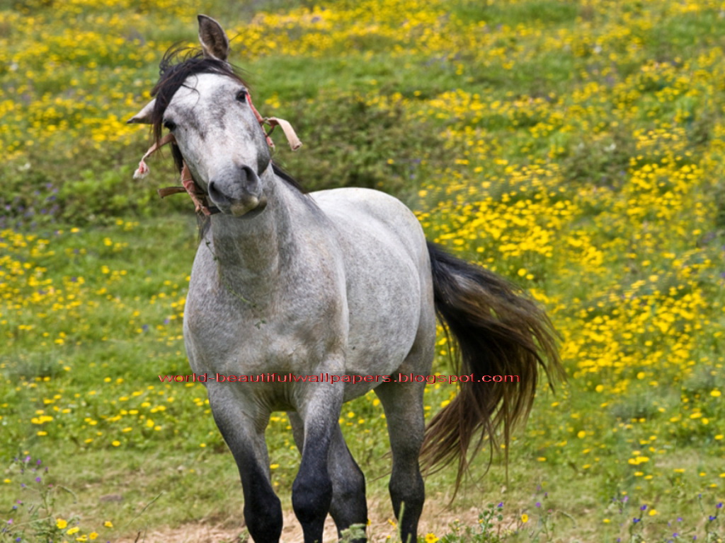 hungry horse lesbian dating site Hungry horse's best 100% free asian online dating site meet cute asian singles in montana with our free hungry horse asian dating service loads of single asian men and women are looking for their match on the internet's best website for meeting asians in hungry horse. hungry horse lesbian dating site Hungry horse's best 100% free asian online dating site meet cute asian singles in montana with our free hungry horse asian dating service loads of single asian men and women are looking for their match on the internet's best website for meeting asians in hungry horse.
