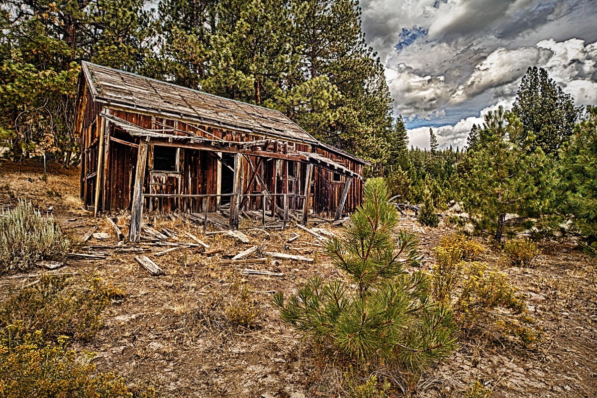 Rick Williams Photography Old House Weed California
