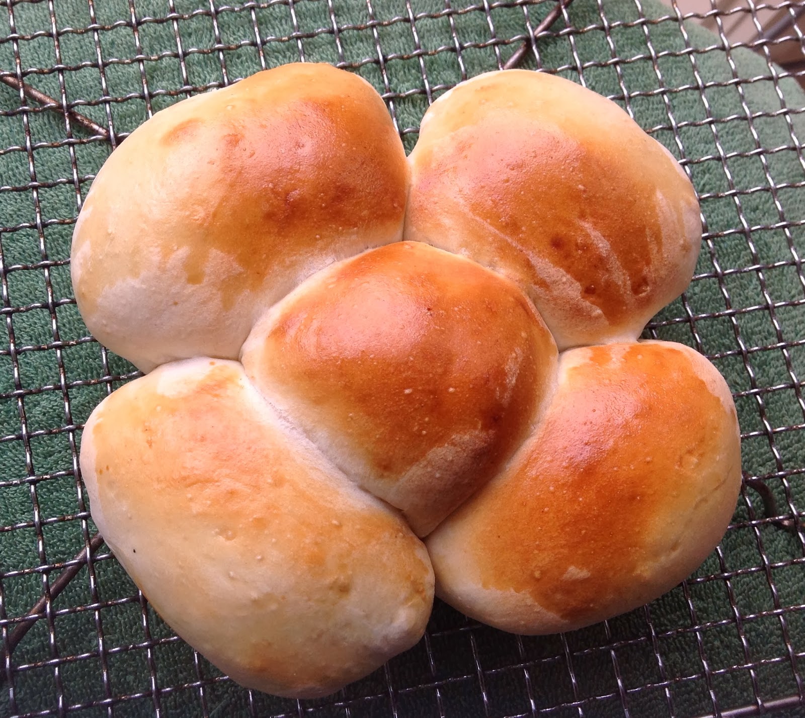 Chook woman Bread Rolls, mixed in TMX and Baked in Air Fryer.