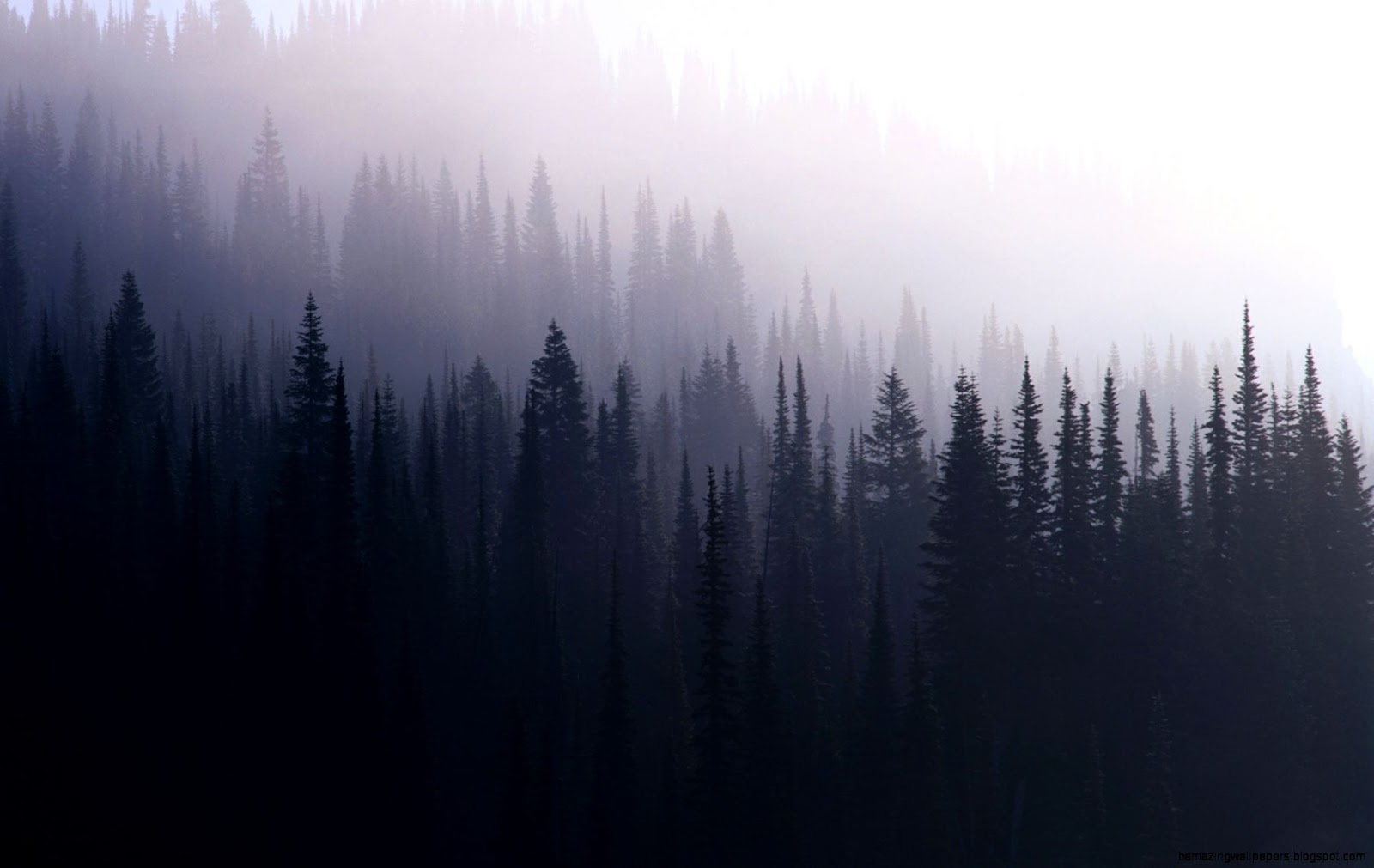 Grunge Forest Tumblr Grunge Forest Tumblr