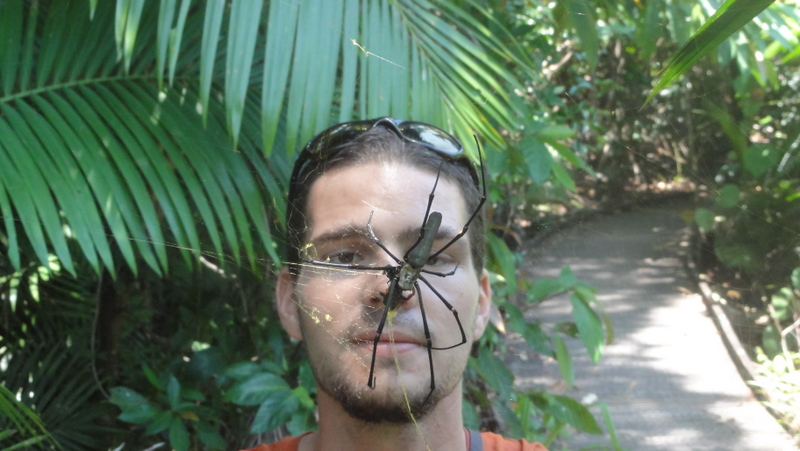 rencontre aime animaux