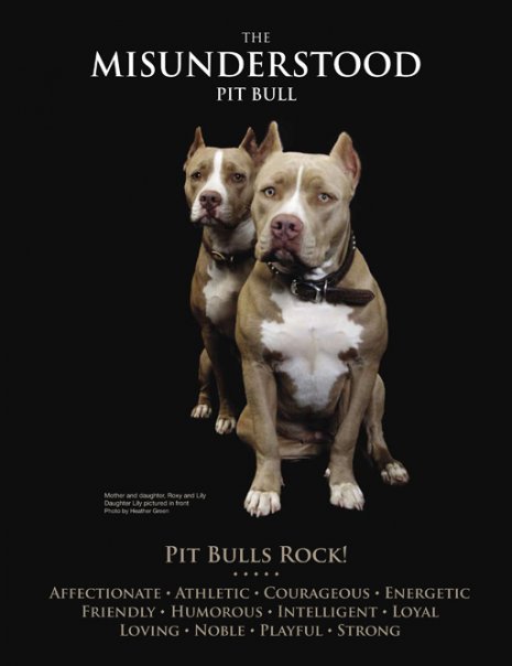 Pit Bulls