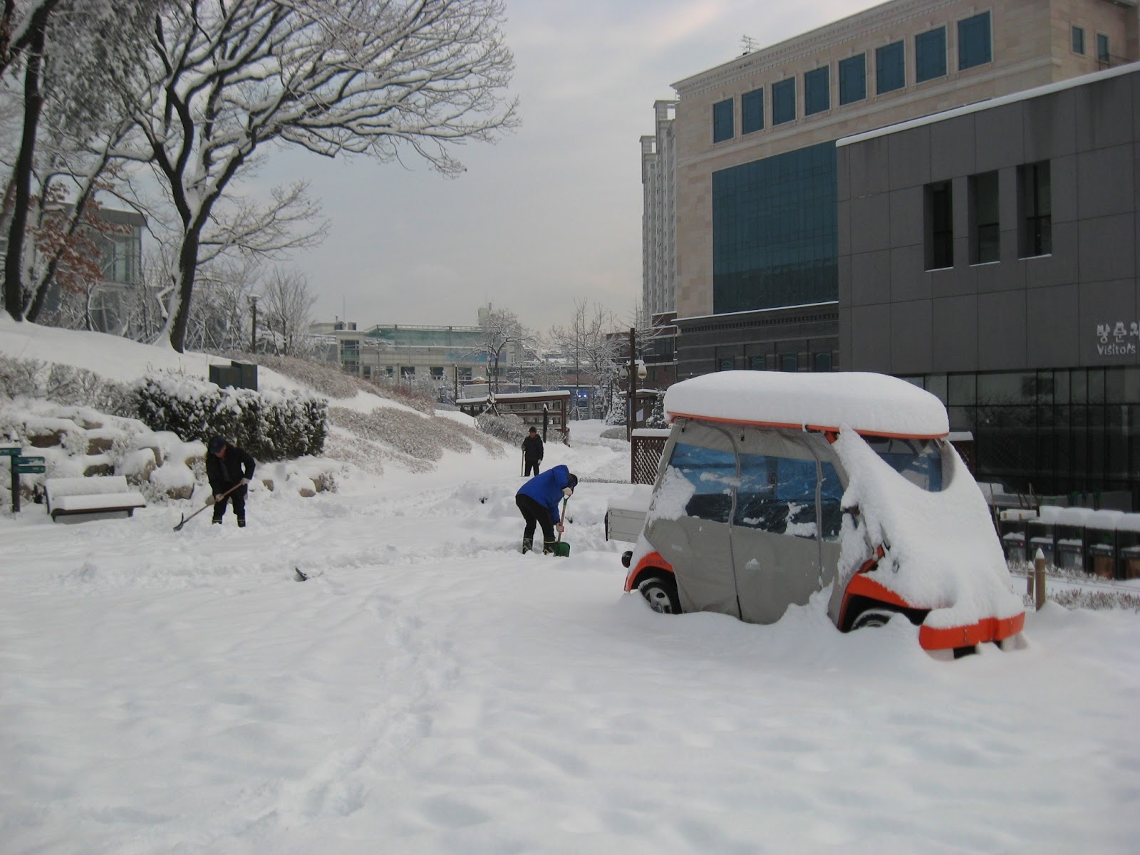 Seoul Far Away More Snow Pics