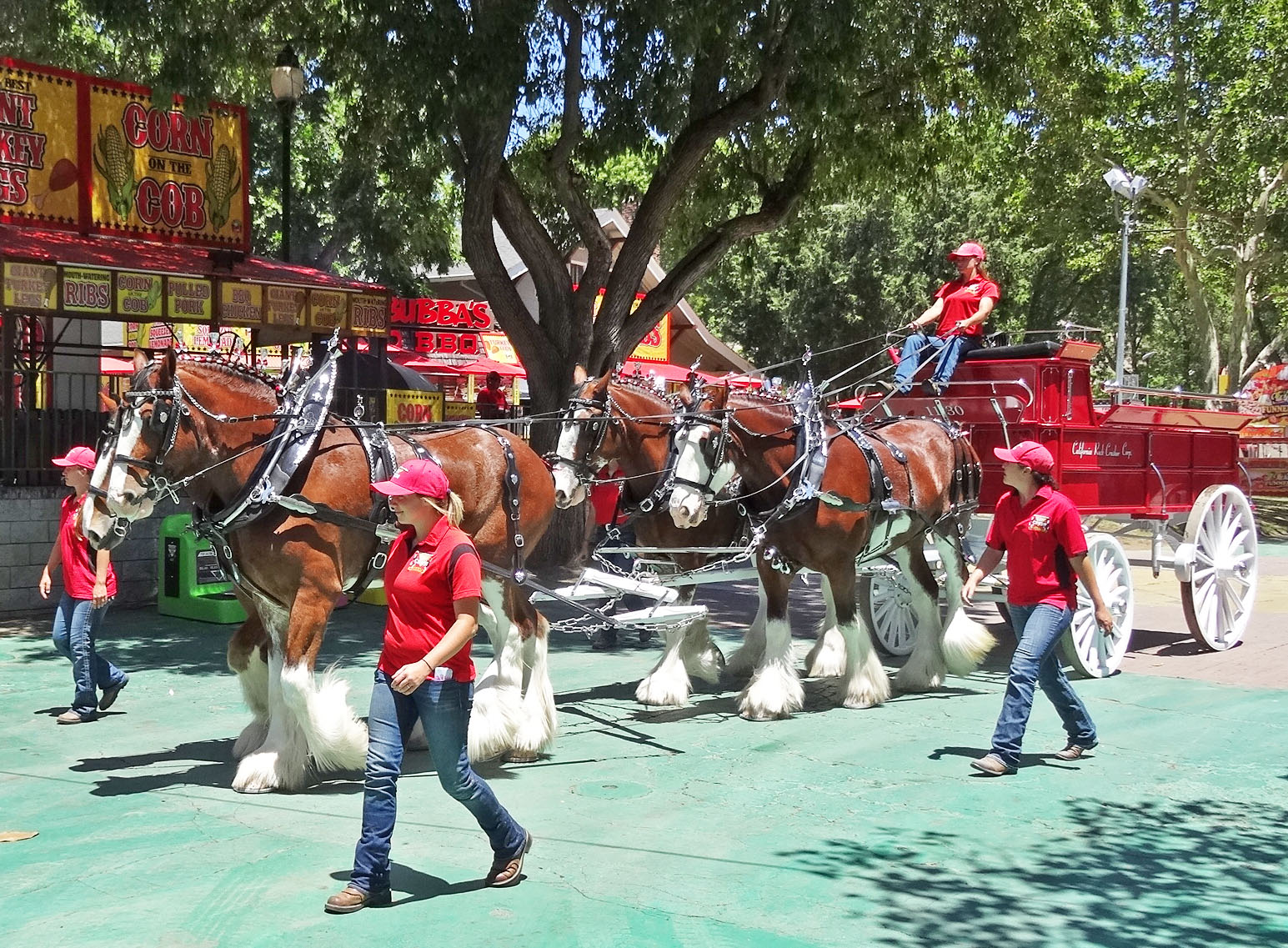 MAD MEAT GENIUS ALAMEDA COUNTY FAIR FOOD