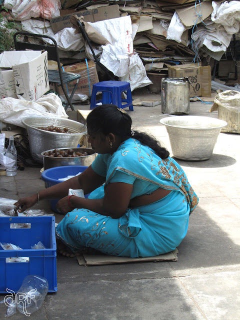 working woman in a blue sari