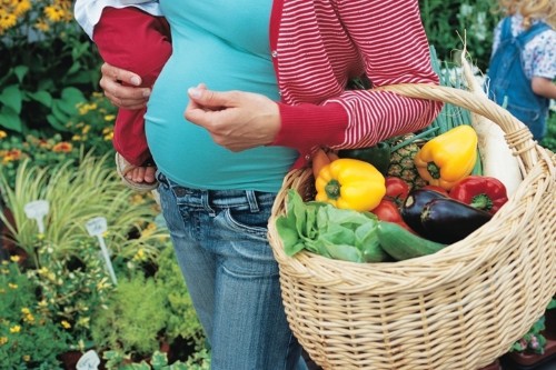 femme enceinte et alimentation