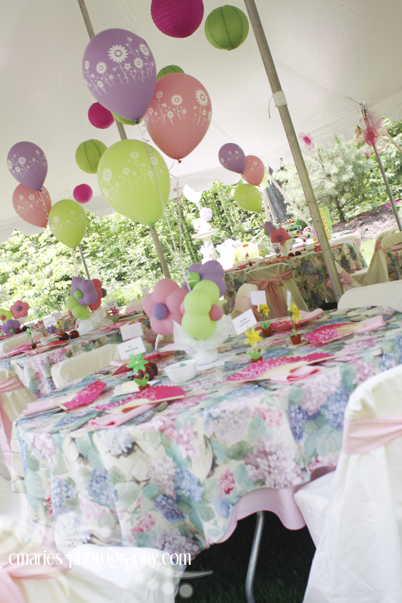 C Marie S Photography Blog Decorations Plus Findlay Party