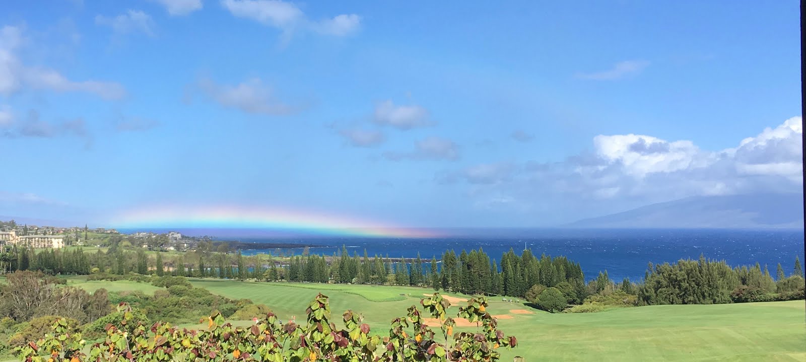 KAPALUA, MAUI