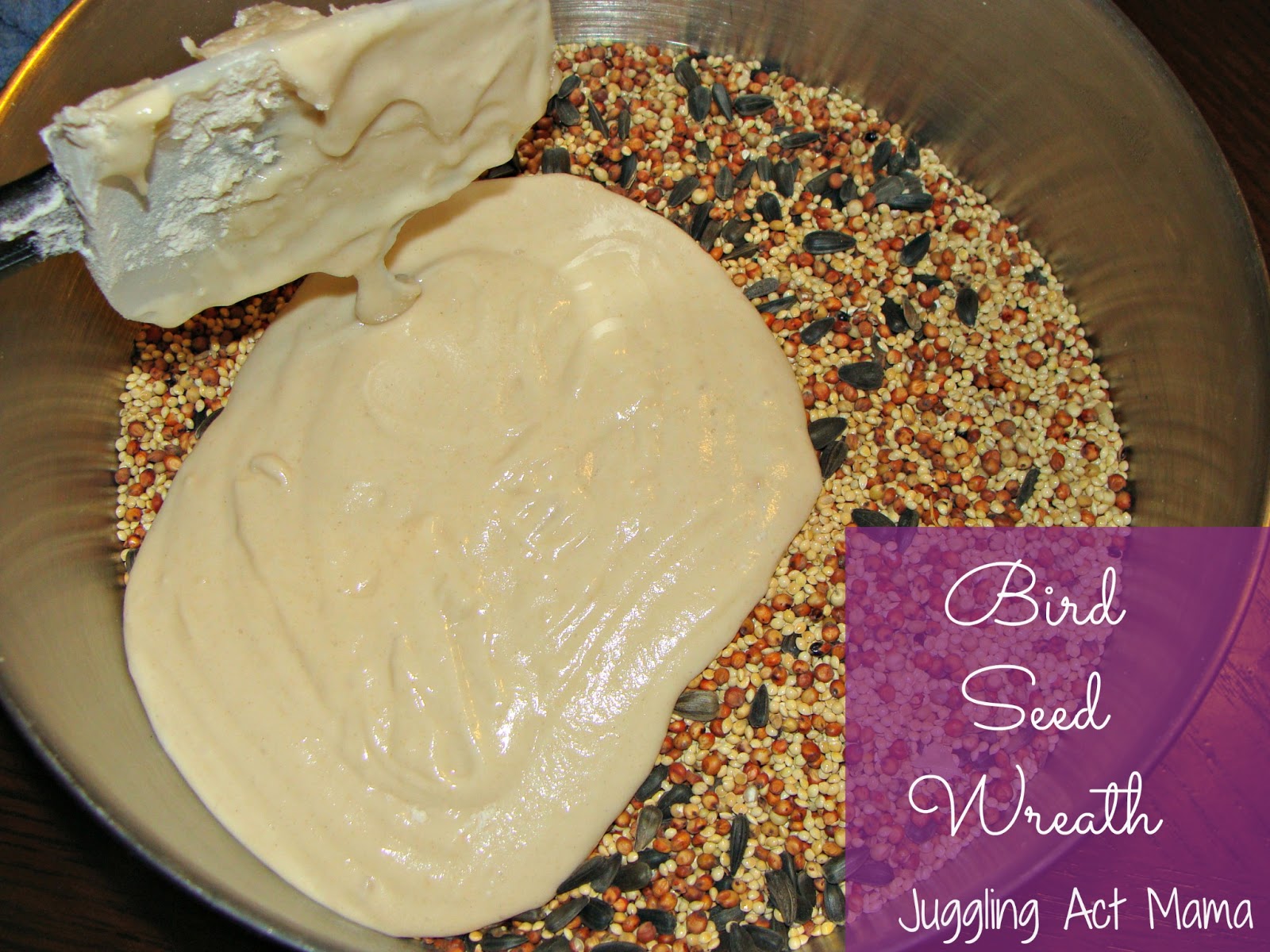 Bird Seed Wreath Valentine's Day for the Birds Juggling Act Mama