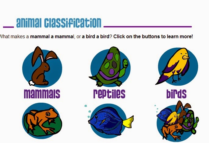 Http Kids Nationalgeographic Com Games Quick Play Rain Forest Animal Memory Http Kids Nationalgeographic Com Games Quick Play Rain Forest Animal Memory