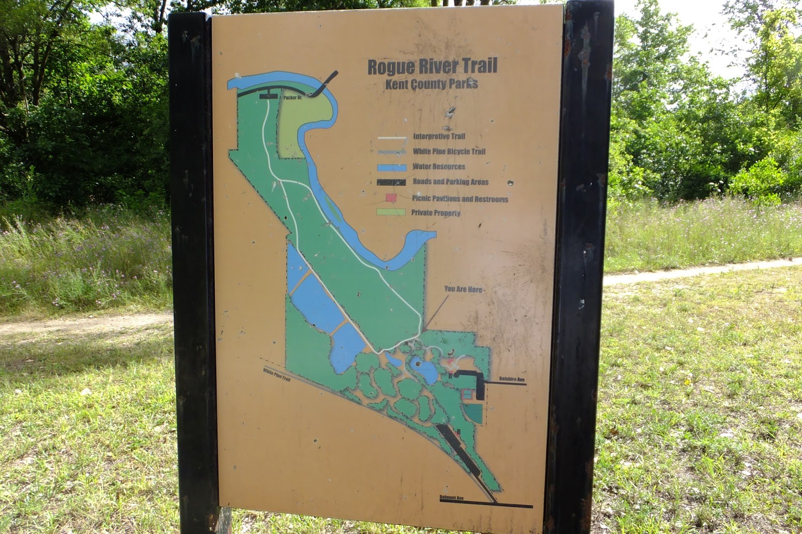 Plants Amaze Me Lamberton Lake Nature Preserve, Rogue River Park