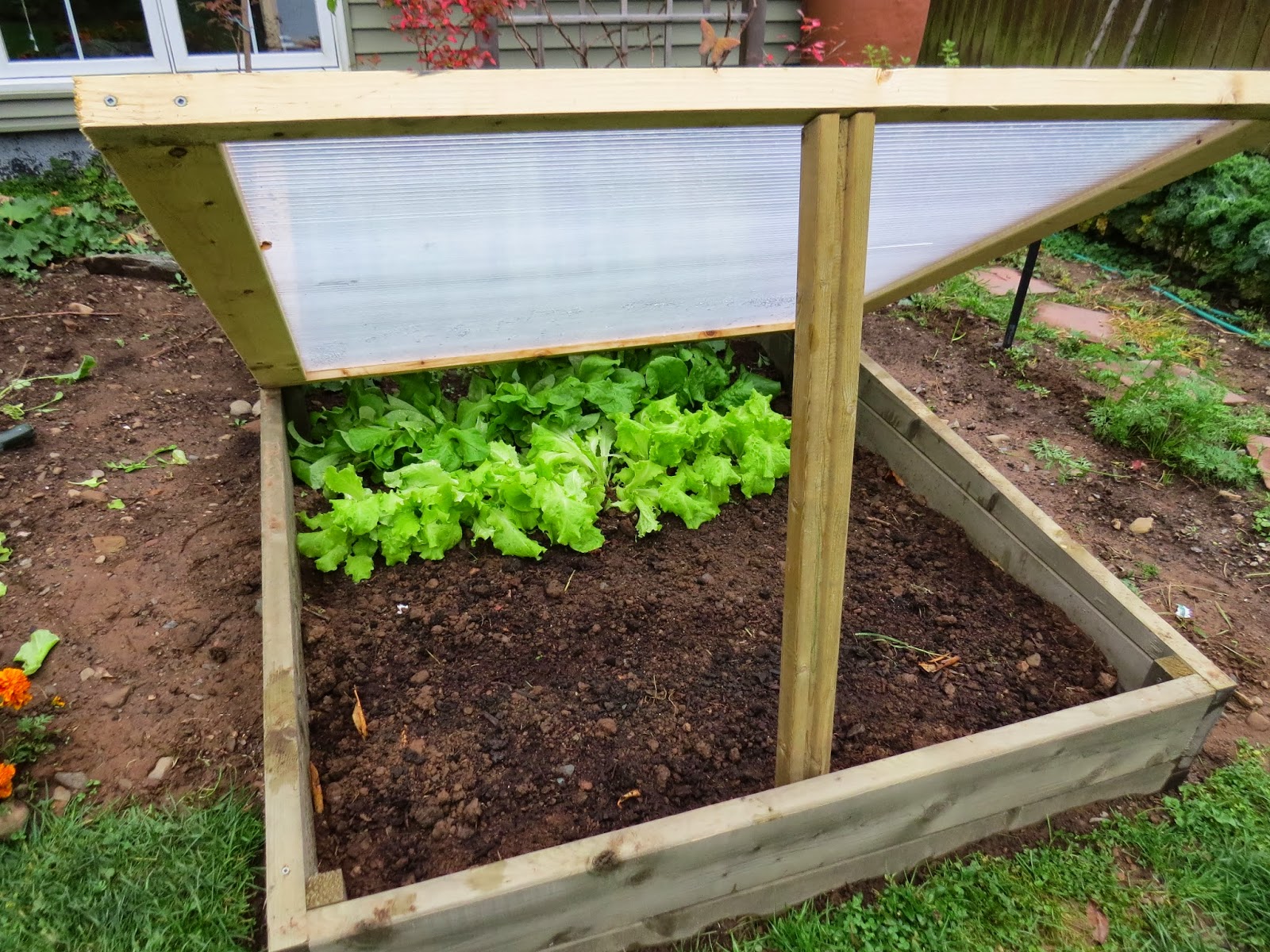 Niki Jabbour The Year Round Veggie Gardener Linda's Cold Frames