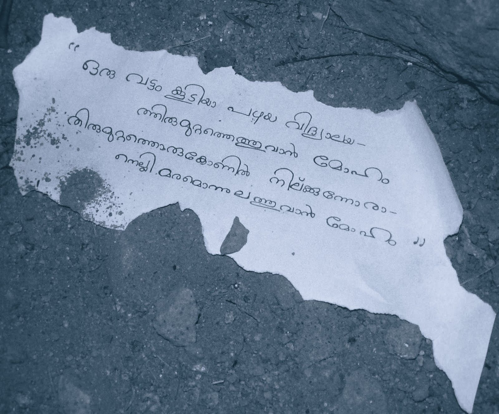 Nammude maram project picture