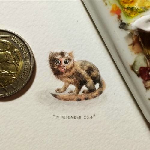 03-Common-Marmoset-Lorraine-Loots-Miniature-Paintings-Commemorating-Special-Occasions-www-designstack-co