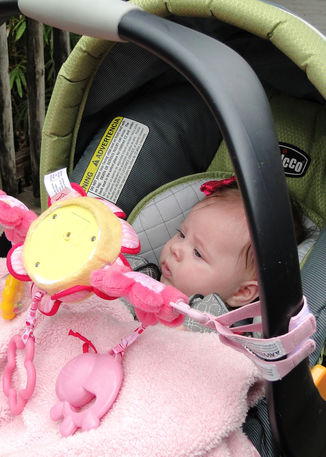 The Journey of Parenthood...: Family Trip to Jacksonville!