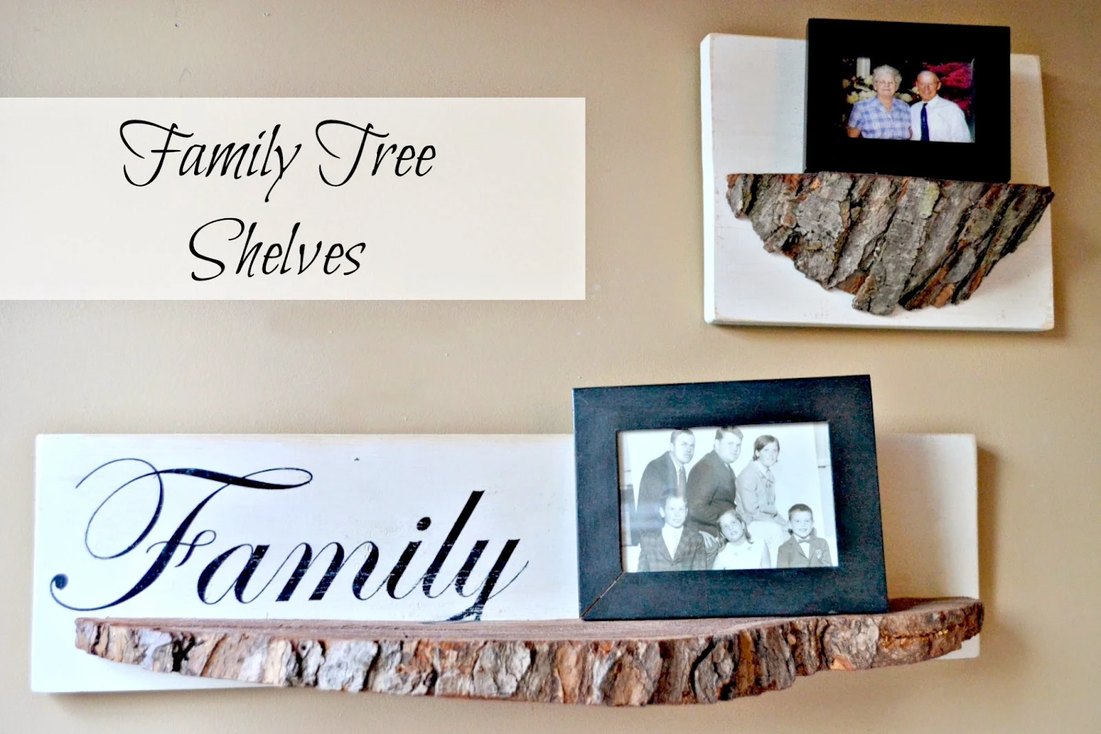 Junkers united with family tree shelves www.homeroad.net