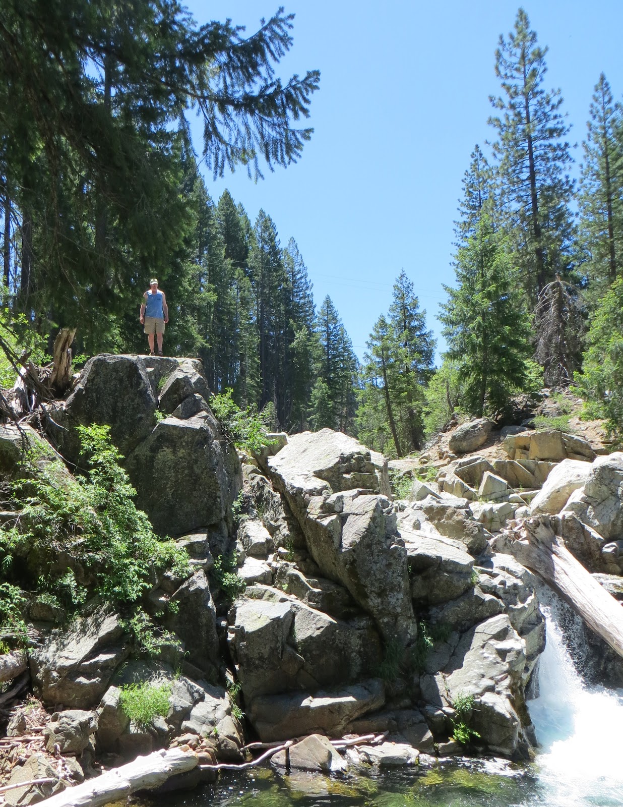 My Pacific Northwest Graeagle CA Vacation Part 2 of 3