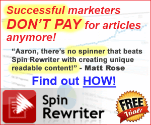 No Time to Write Blogs ` Spin Them