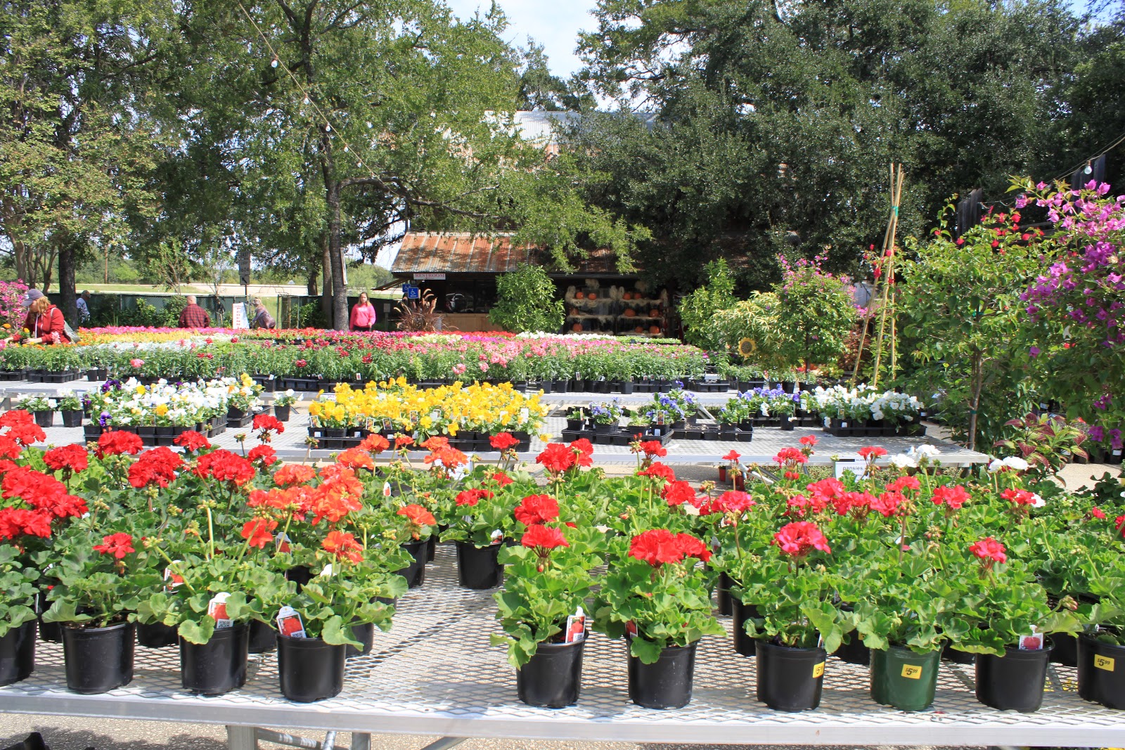 RockOakDeer Milberger's Nursery