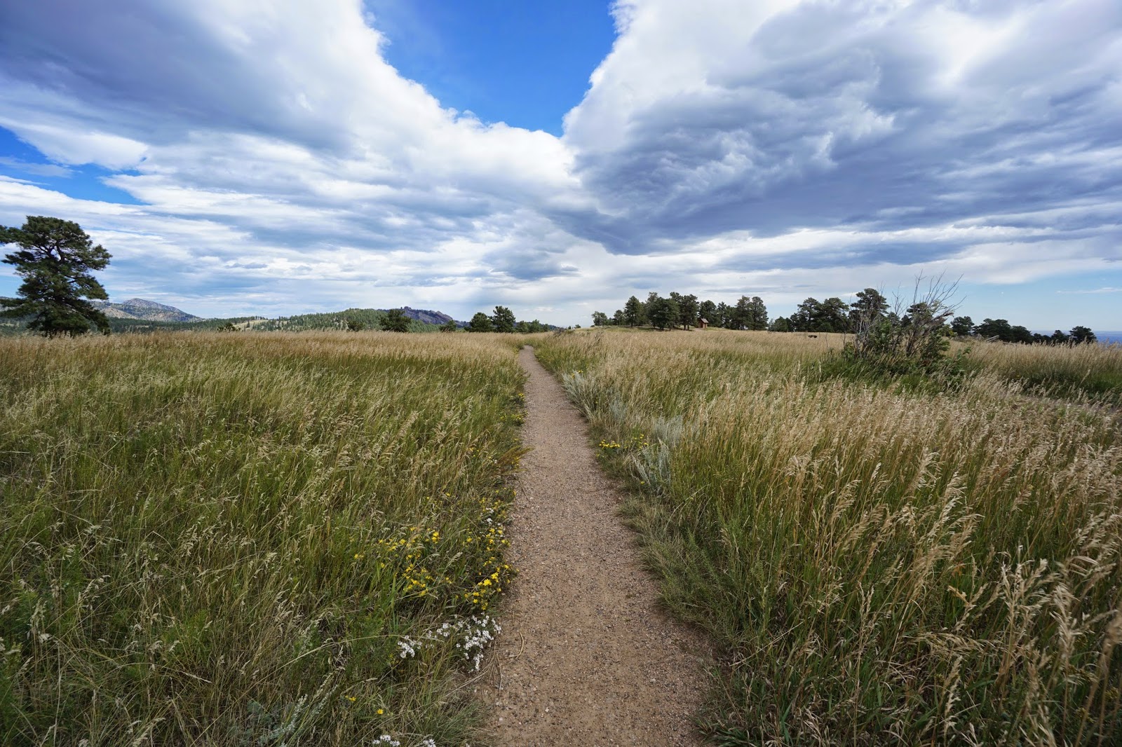 Go Hike Colorado Rawhide>Longhorn>Maverick>Sawmill Loop, White Ranch Park