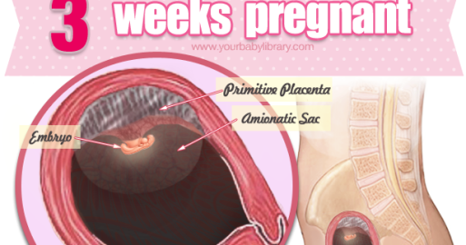 tegn på graviditet uge 3