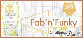 Won Challenge #210 at Fab 'n' Funky