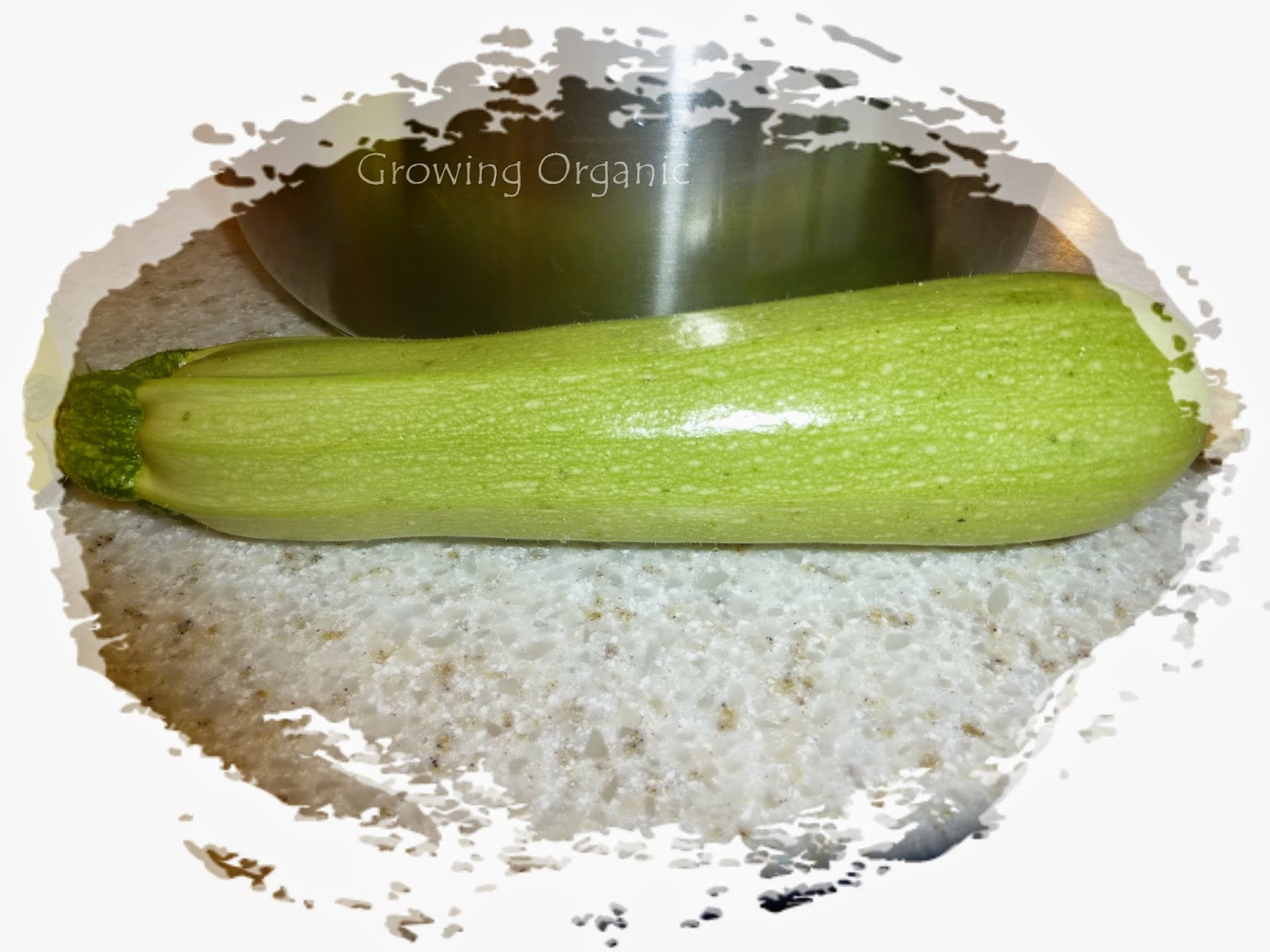 Growing Organic Canned Pineapple Zucchini