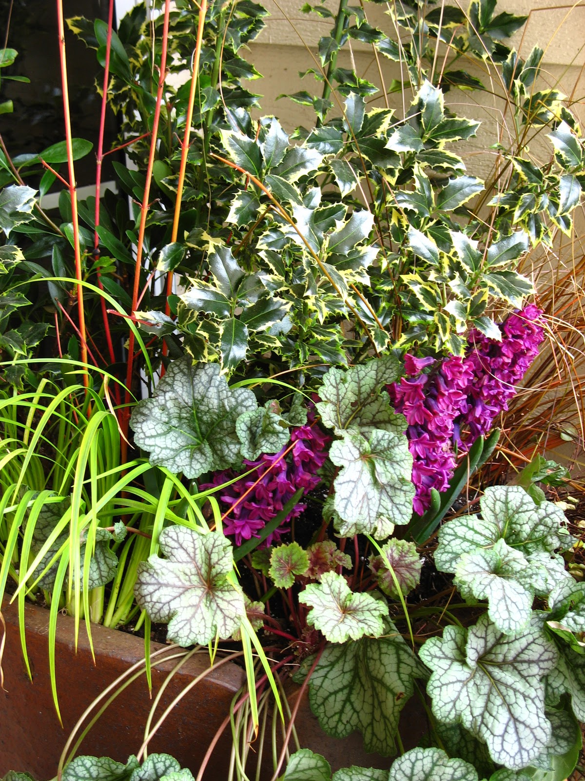 Shrub Garden Uk Stock Photos Shrub Garden Uk Stock Images Alamy