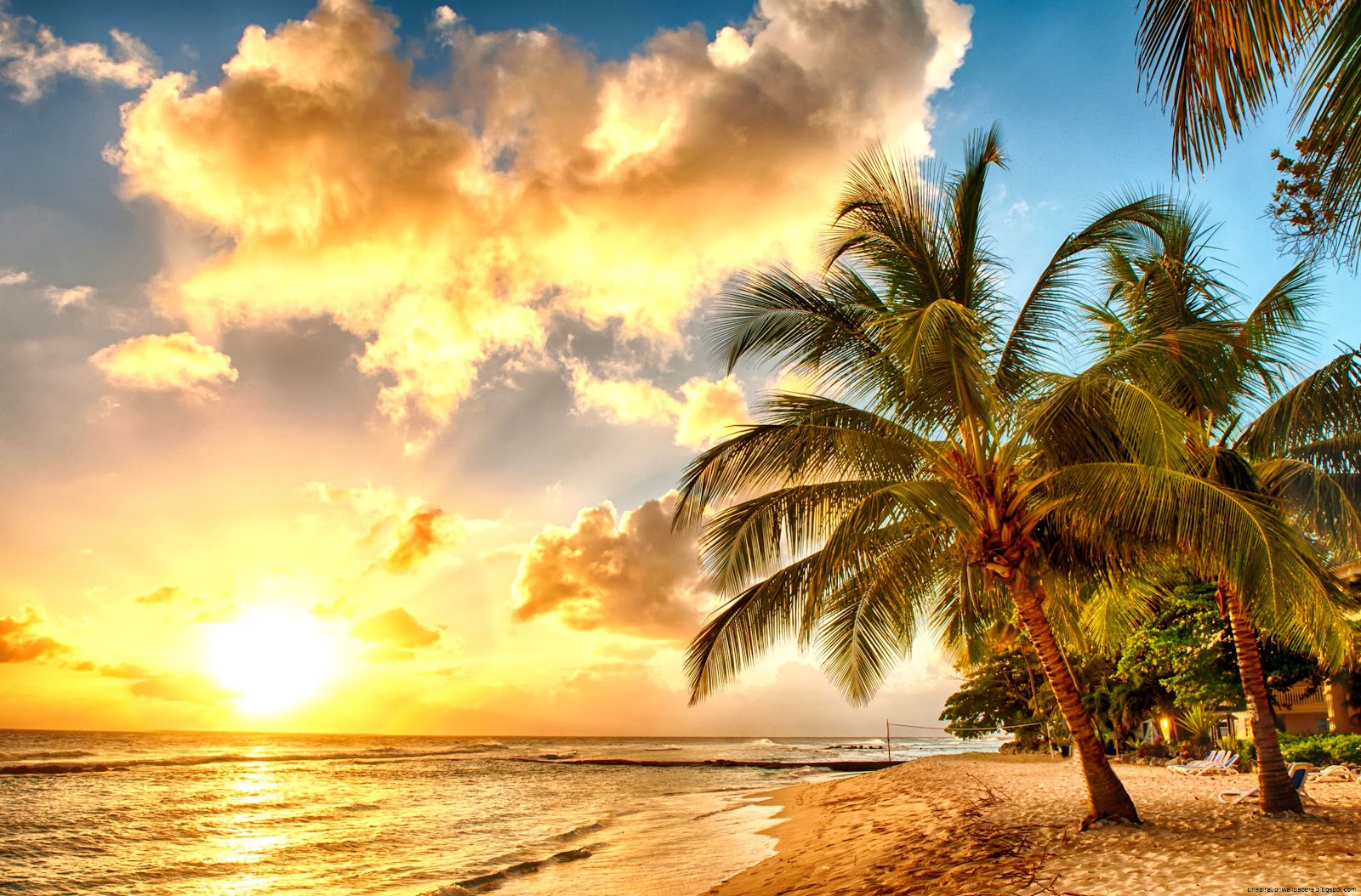 Beautiful Caribbean Beach Sunset Beautiful Caribbean Beach Sunset