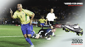 mercurial vapor 2002