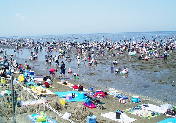 割引クーポン 富津海岸潮干狩場情報 割引クーポン 節約生活