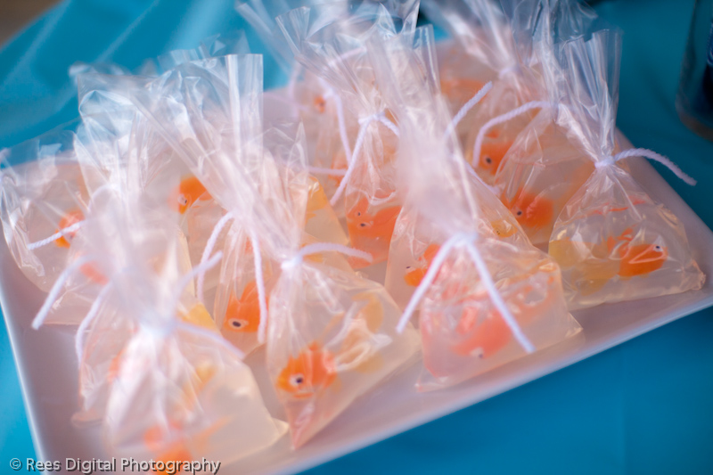 Red Chandelier Goldfish Birthday Party