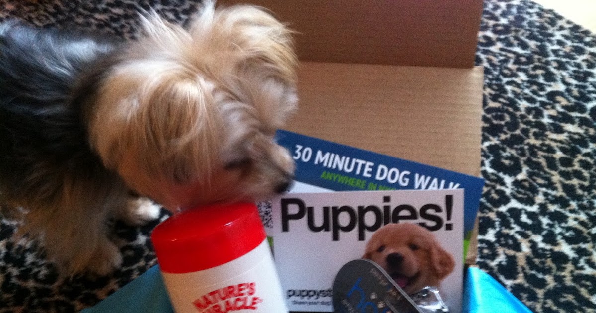 Barkzilla A Savvy NYC Dog Blog Our March Barkbox Delivery!