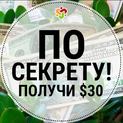 Получи 30$ при регистрации в проекте